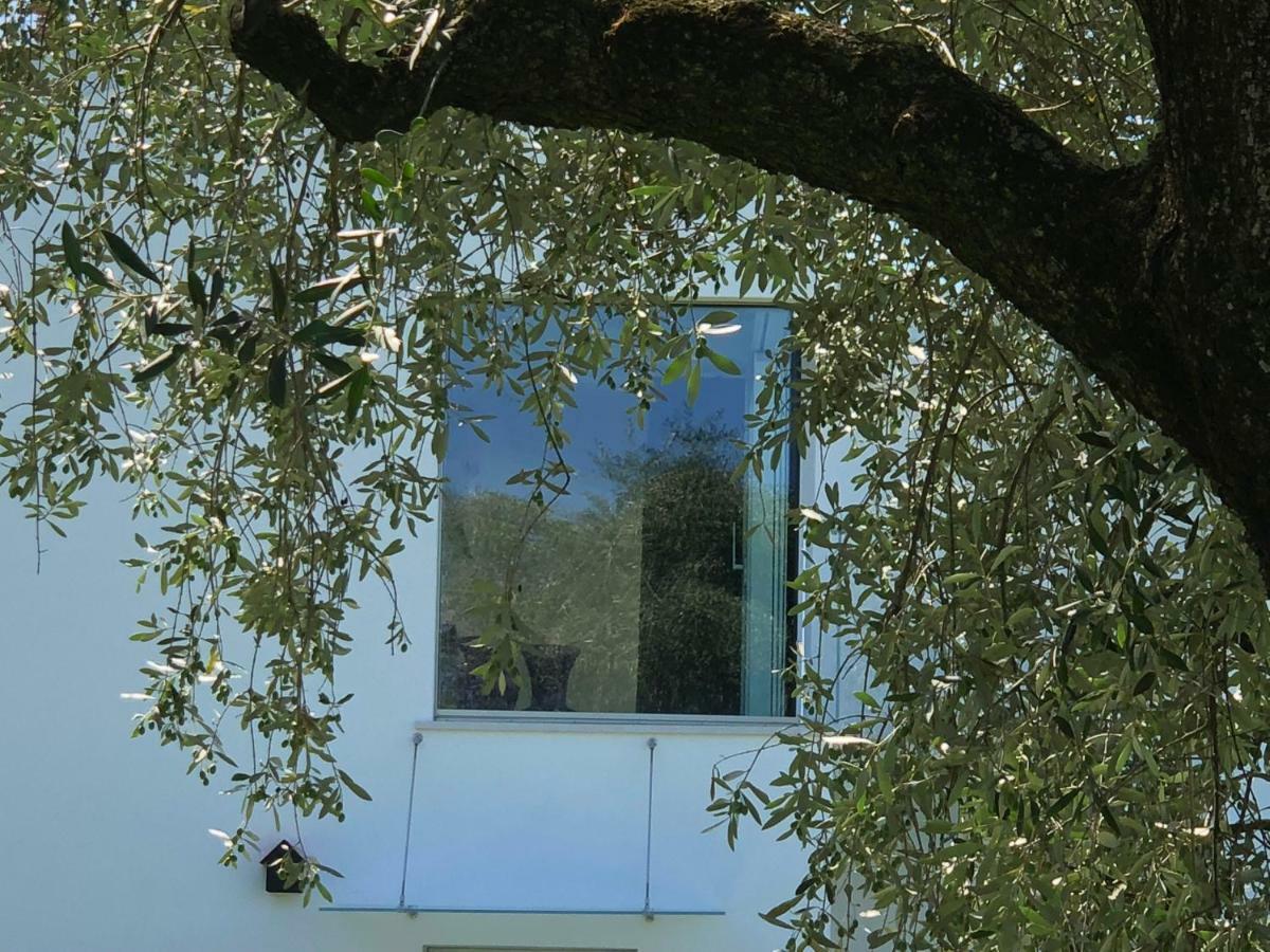 Villa Il Bacio Del Sole فيرونا المظهر الخارجي الصورة